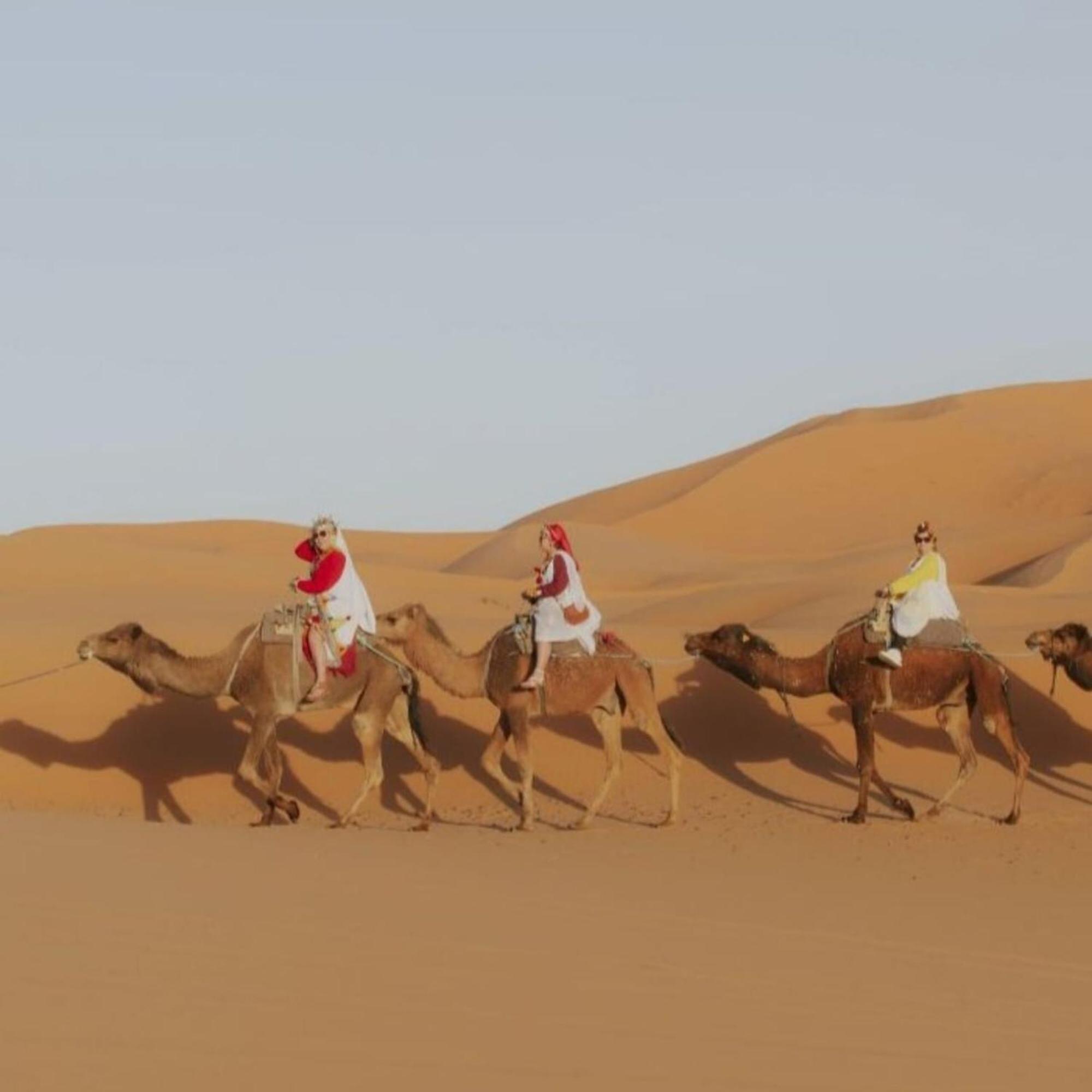ホテル Unique Sahara Camp メルズーガ エクステリア 写真
