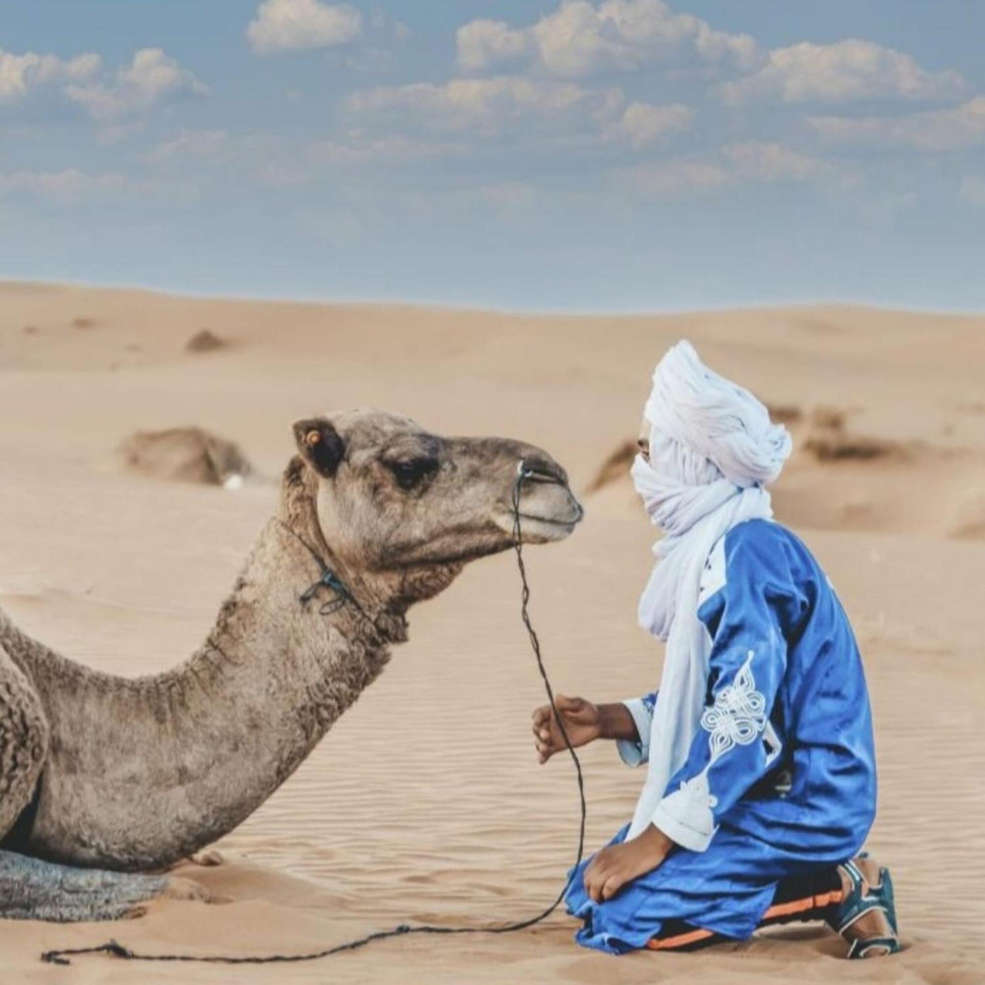 ホテル Unique Sahara Camp メルズーガ エクステリア 写真