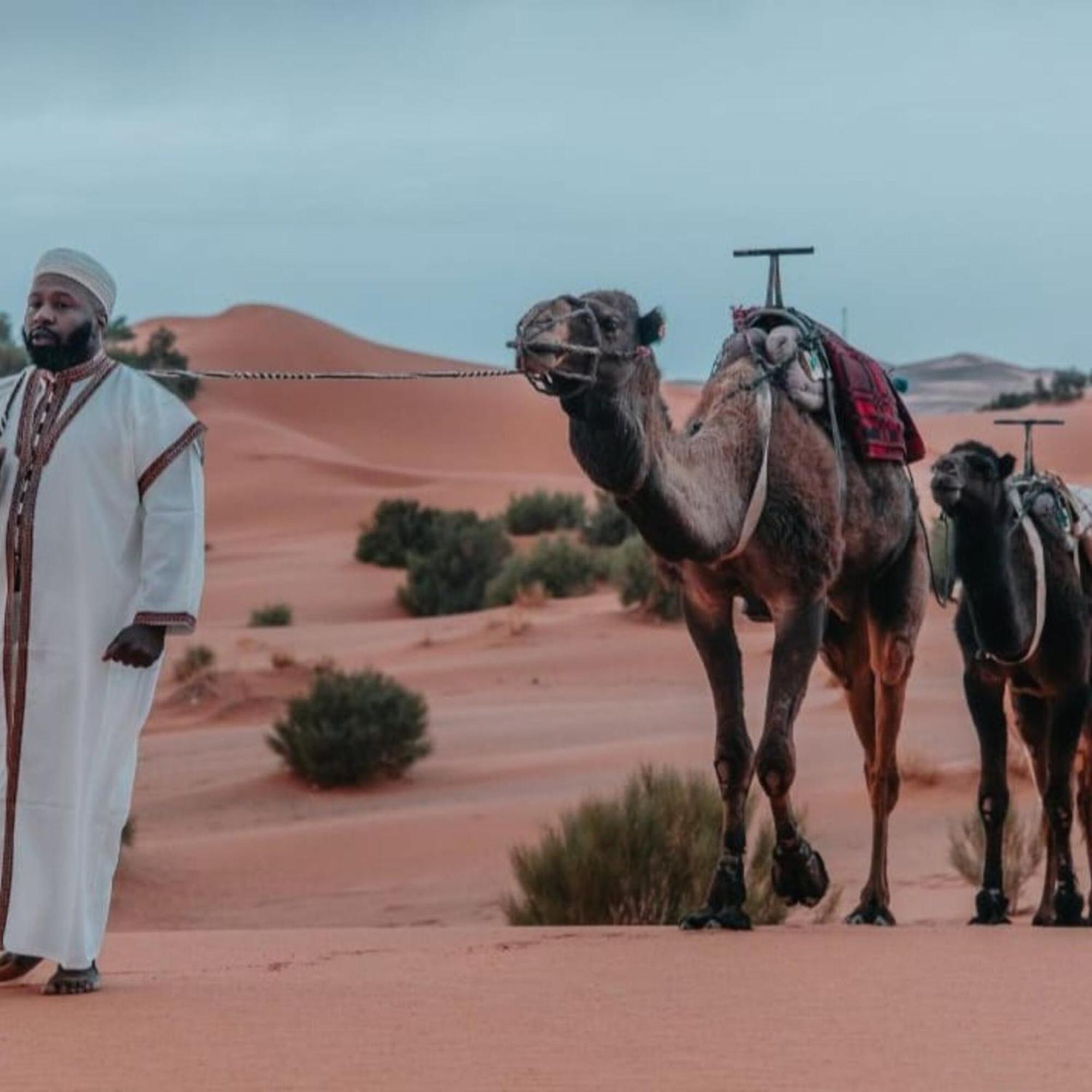 ホテル Unique Sahara Camp メルズーガ エクステリア 写真