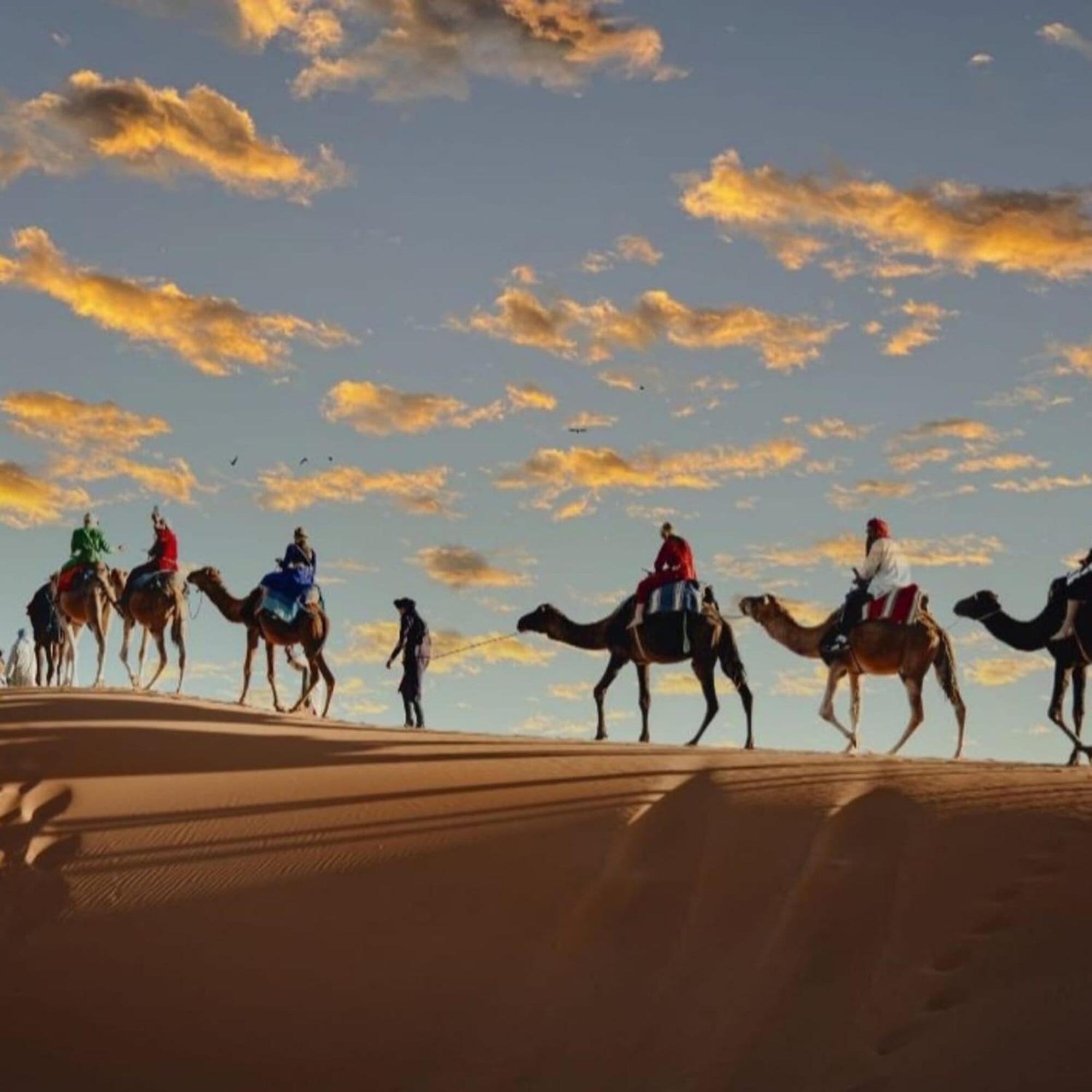 ホテル Unique Sahara Camp メルズーガ エクステリア 写真
