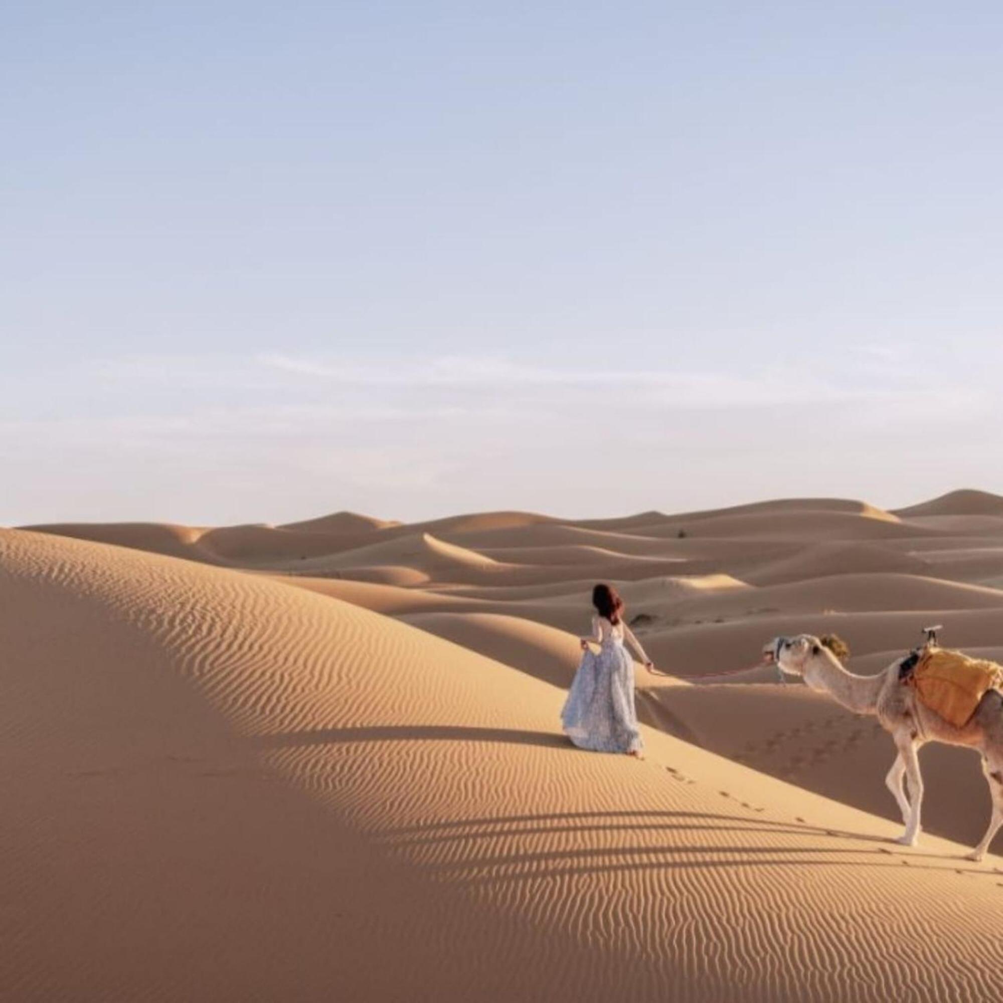 ホテル Unique Sahara Camp メルズーガ エクステリア 写真