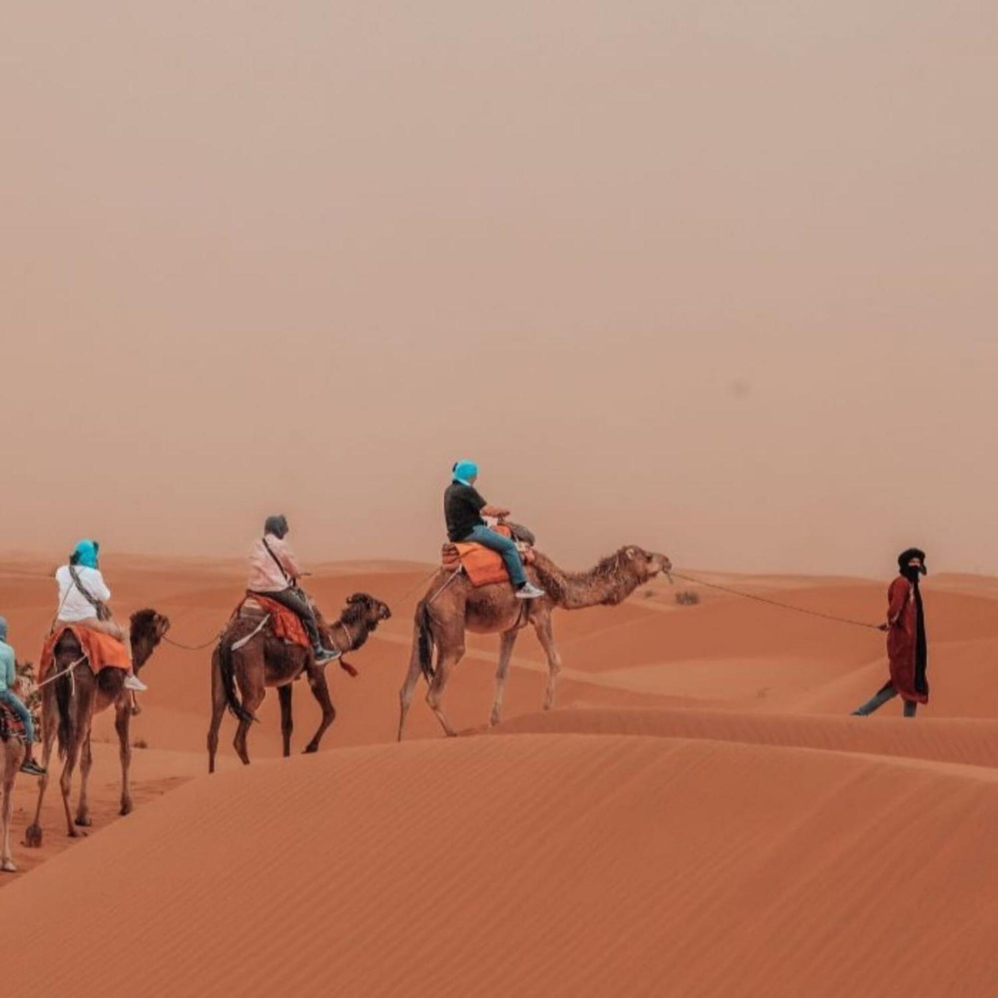 ホテル Unique Sahara Camp メルズーガ エクステリア 写真
