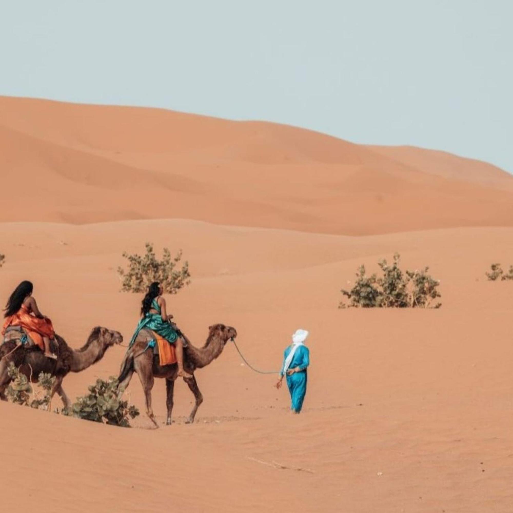 ホテル Unique Sahara Camp メルズーガ エクステリア 写真